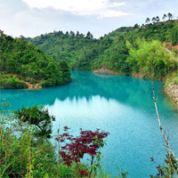 ͬ����Ӫ���߲ʳ�