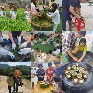 ����ȥ�����������ͬ����Ӫ�壺�ɲ��Ʋ裬�����ũ����