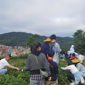 ���ŵ���������棿����ͬ����Ӫ�壺��ɽ�ϵ������飬������̽Ѱ