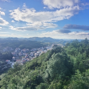 ����ͬ����Ӫ������һ������Ǯ����Ӫ����õ���������һ�ң�