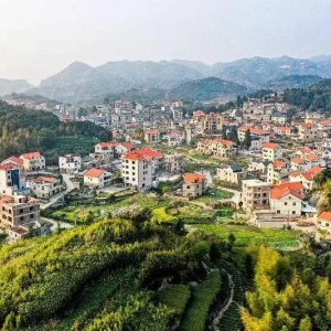 �̺���̲�����ţ���Ӫ�����ɫ�¸�·